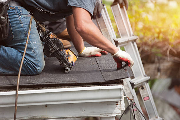 Best Roof Gutter Cleaning  in Chesilhurst, NJ