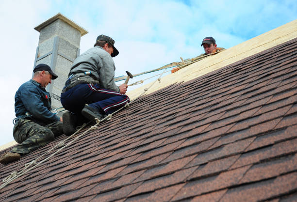Best Roof Waterproofing Services  in Chesilhurst, NJ